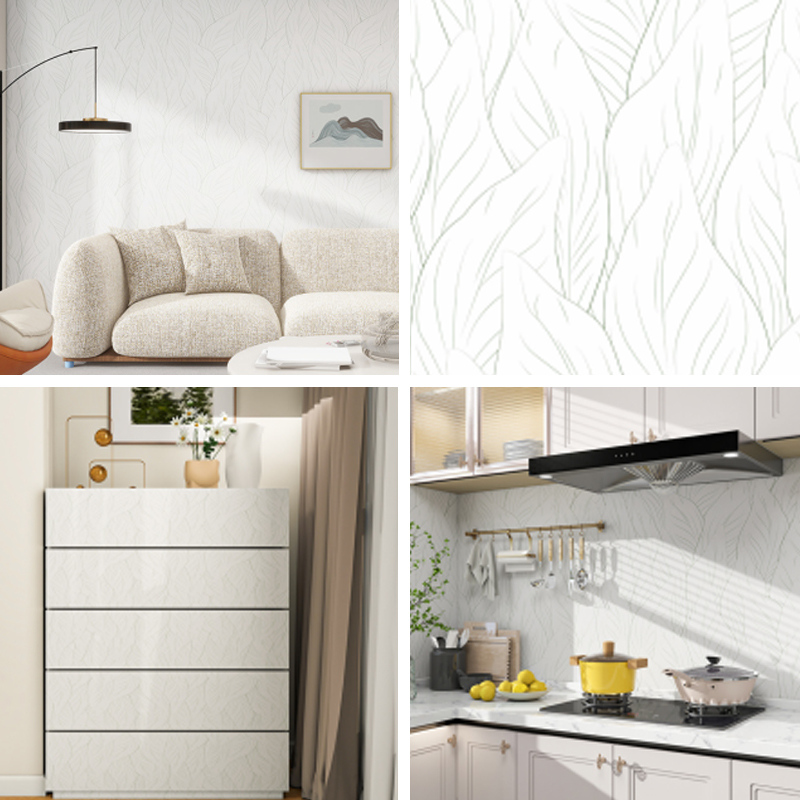 Série de films en vinyle imprimables CS-24009 Série de films en vinyle imprimables CS-24009