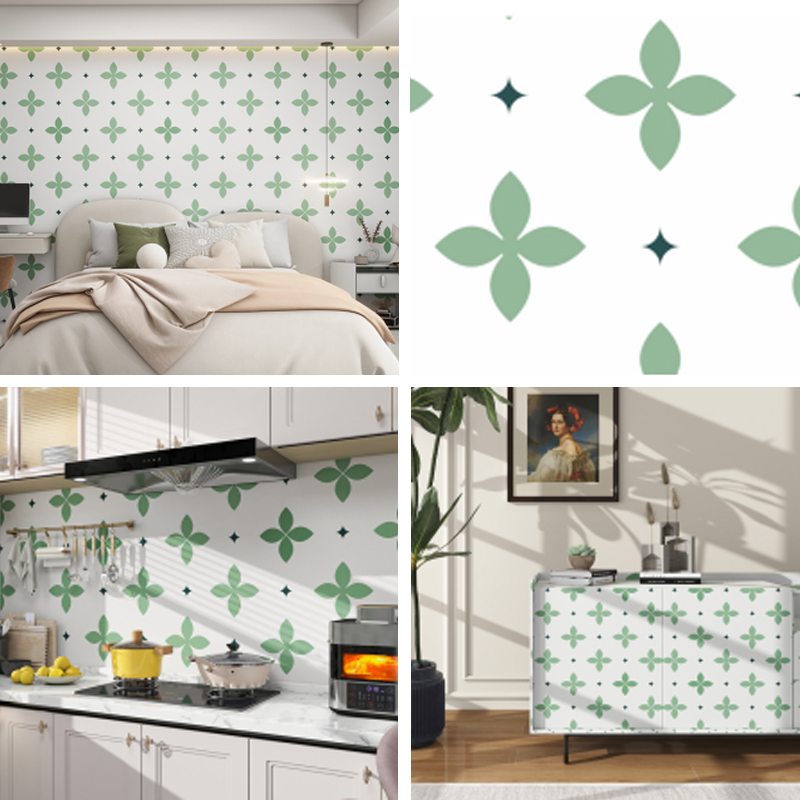 Série de films en vinyle imprimables CS-24020 Série de films en vinyle imprimables CS-24020