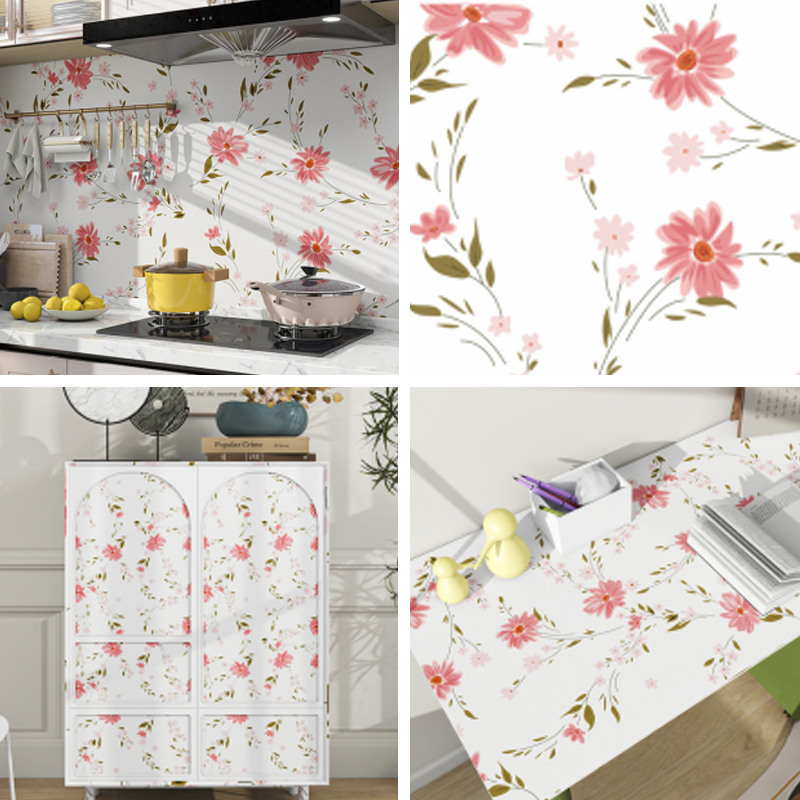 Série de films en vinyle imprimables CS-24030 Série de films en vinyle imprimables CS-24030