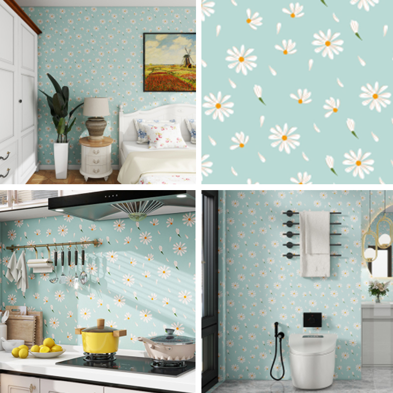 CS-24031 Série de films en vinyle imprimables CS-24031 Série de films en vinyle imprimables