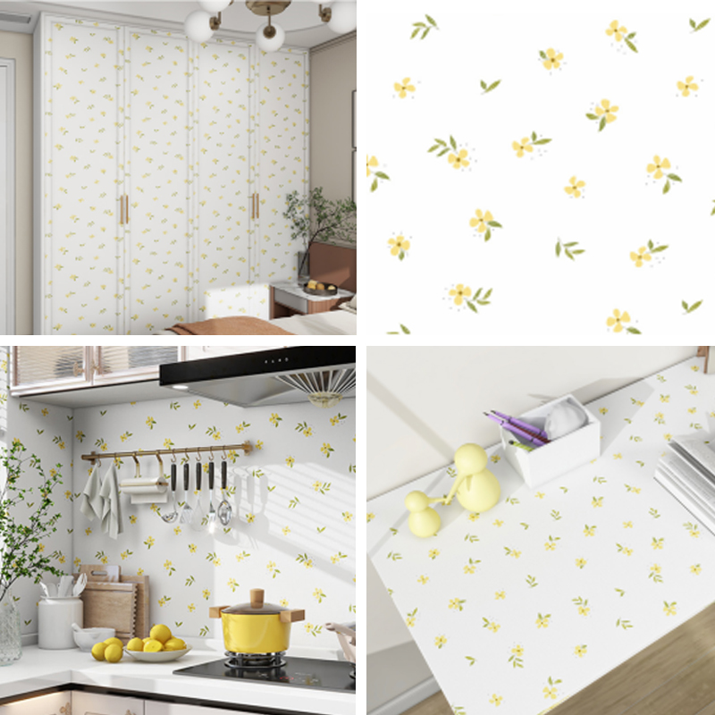 CS-24035 Série de films en vinyle imprimables CS-24035 Série de films en vinyle imprimables