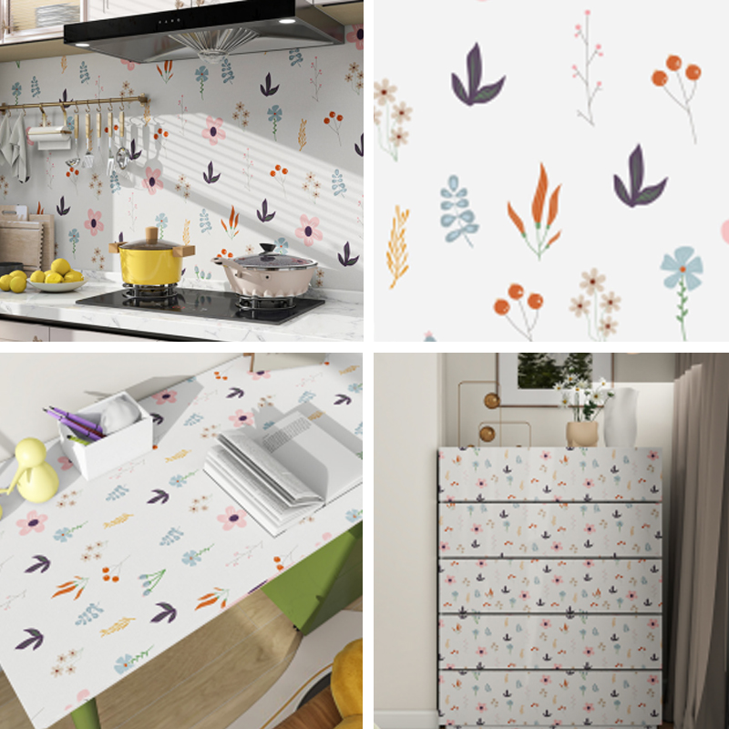 CS-24042 Série de films en vinyle imprimables CS-24042 Série de films en vinyle imprimables