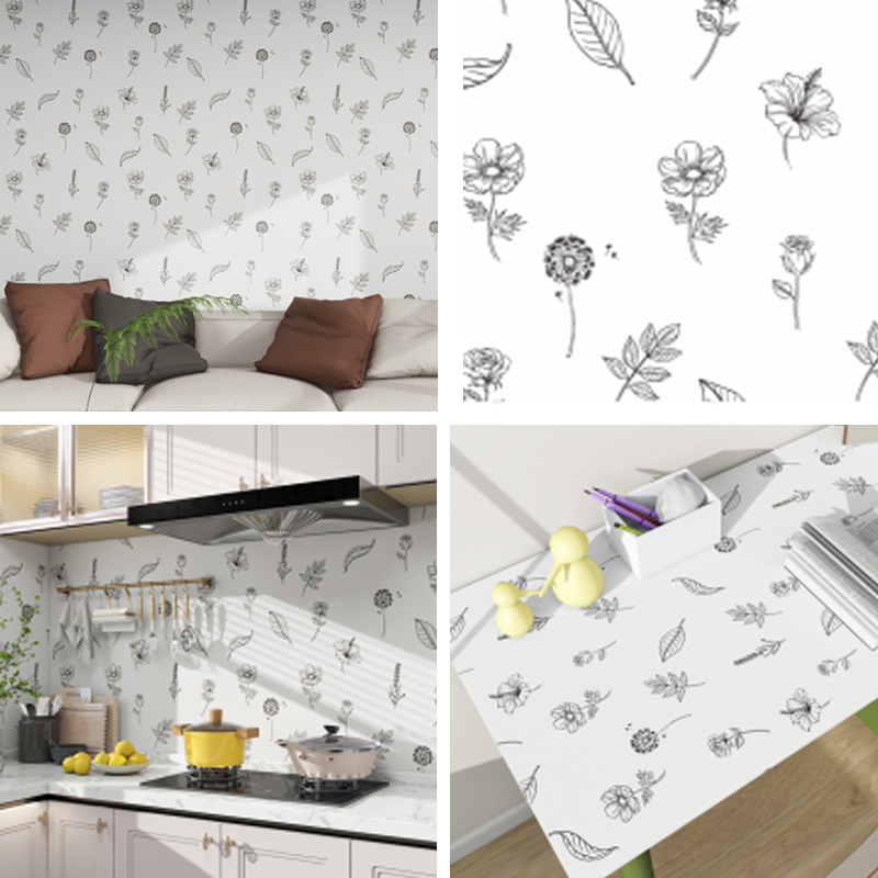 CS-24045 Série de films en vinyle imprimables CS-24045 Série de films en vinyle imprimables