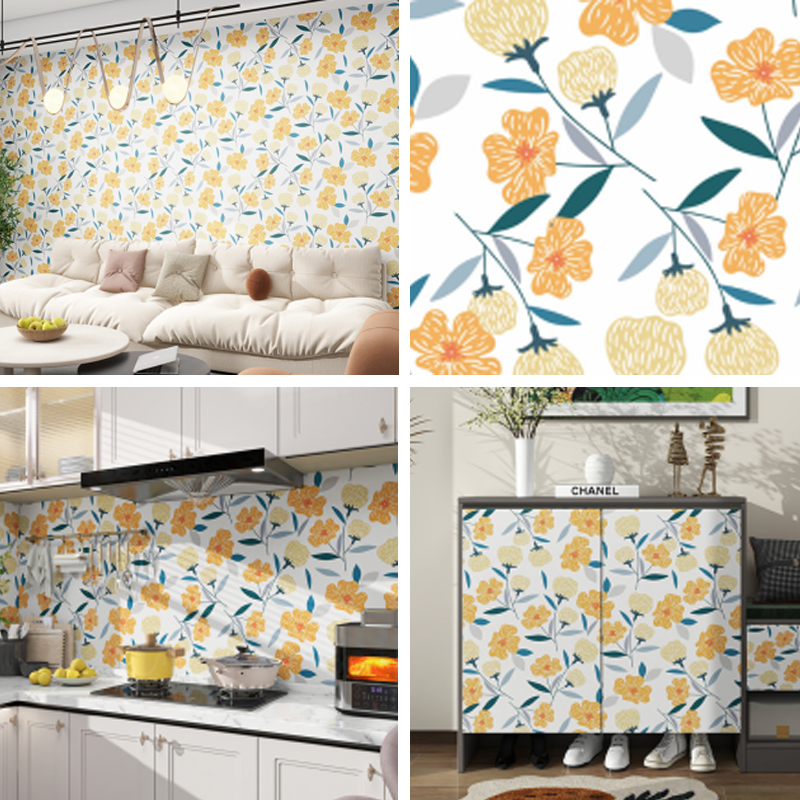 CS-24048 Série de films en vinyle imprimables CS-24048 Série de films en vinyle imprimables