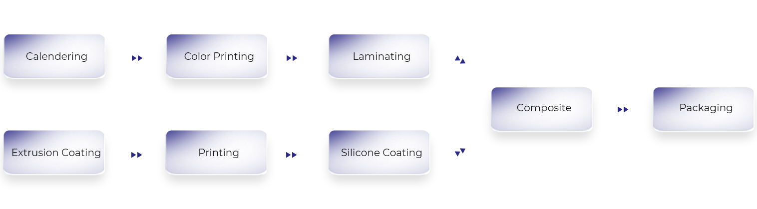 Jiangsu Xinfeng Star Film Materials Co., Ltd.
