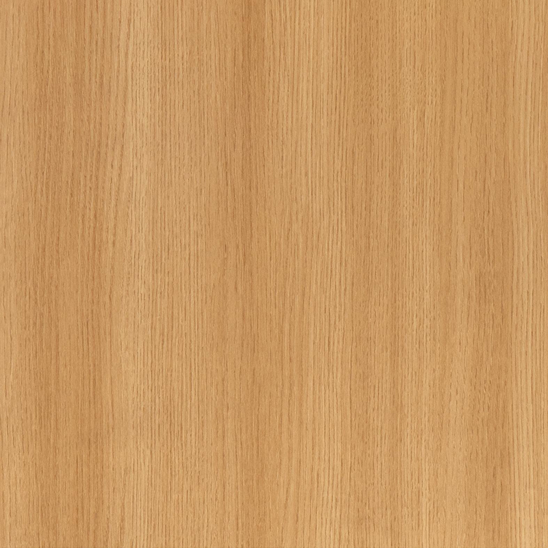 FG6009 Film intérieur