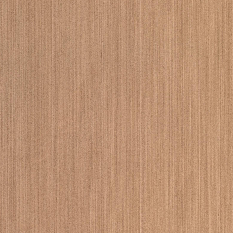 FG6007 Film intérieur