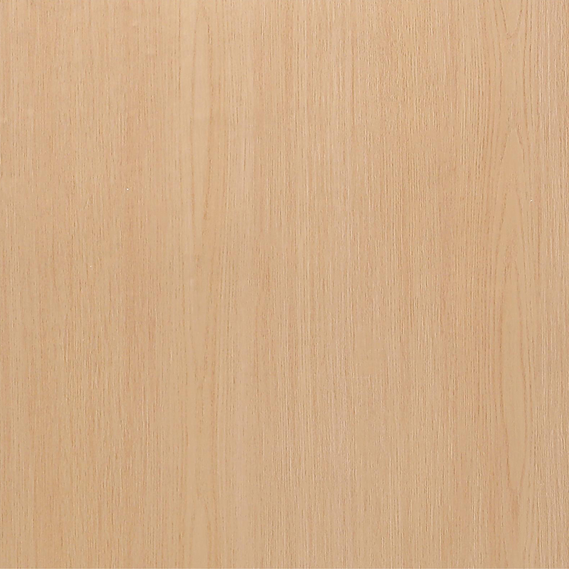 FG6004-2 Film intérieur