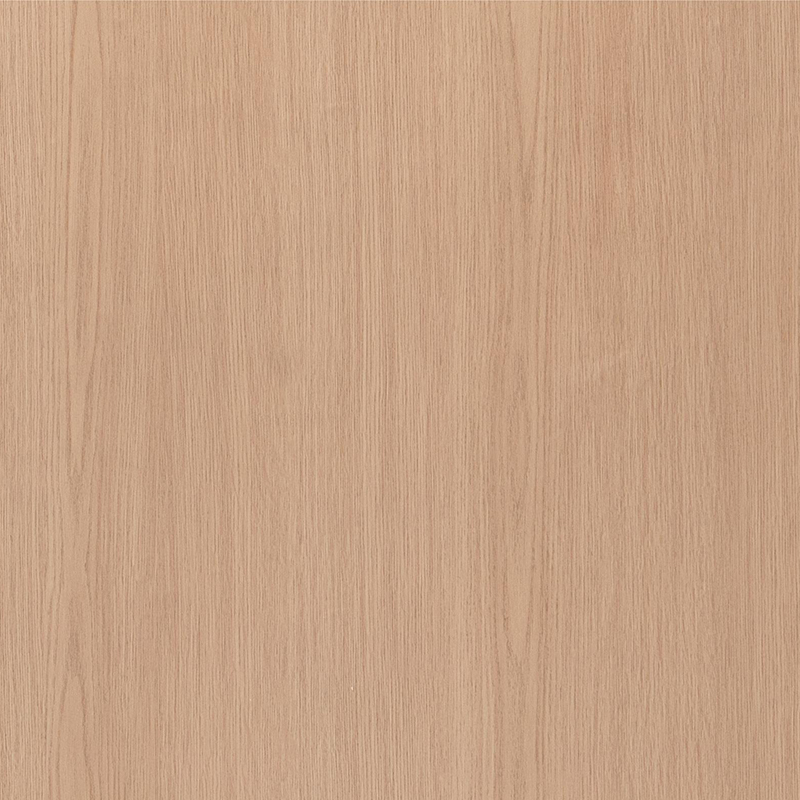 FG6004-1 Film intérieur