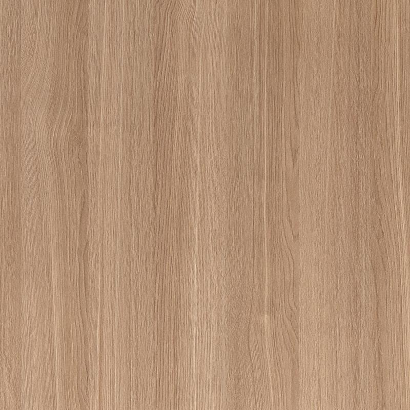 FG6001-1 Film intérieur